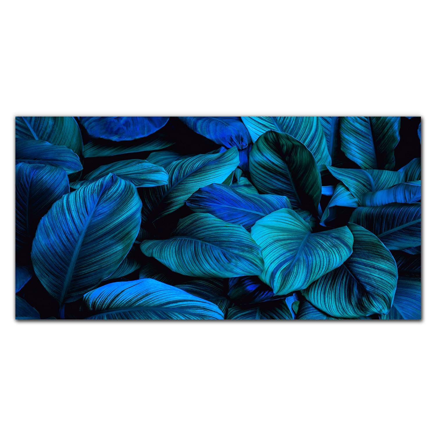 Impression sur verre plante à fleurs et tableau décoration murale 100x50 - 8