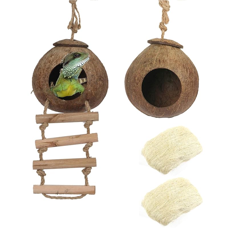 Esconderijo para Répteis de Coco com Escada Hamiledyi Style A, Pacote com 2
