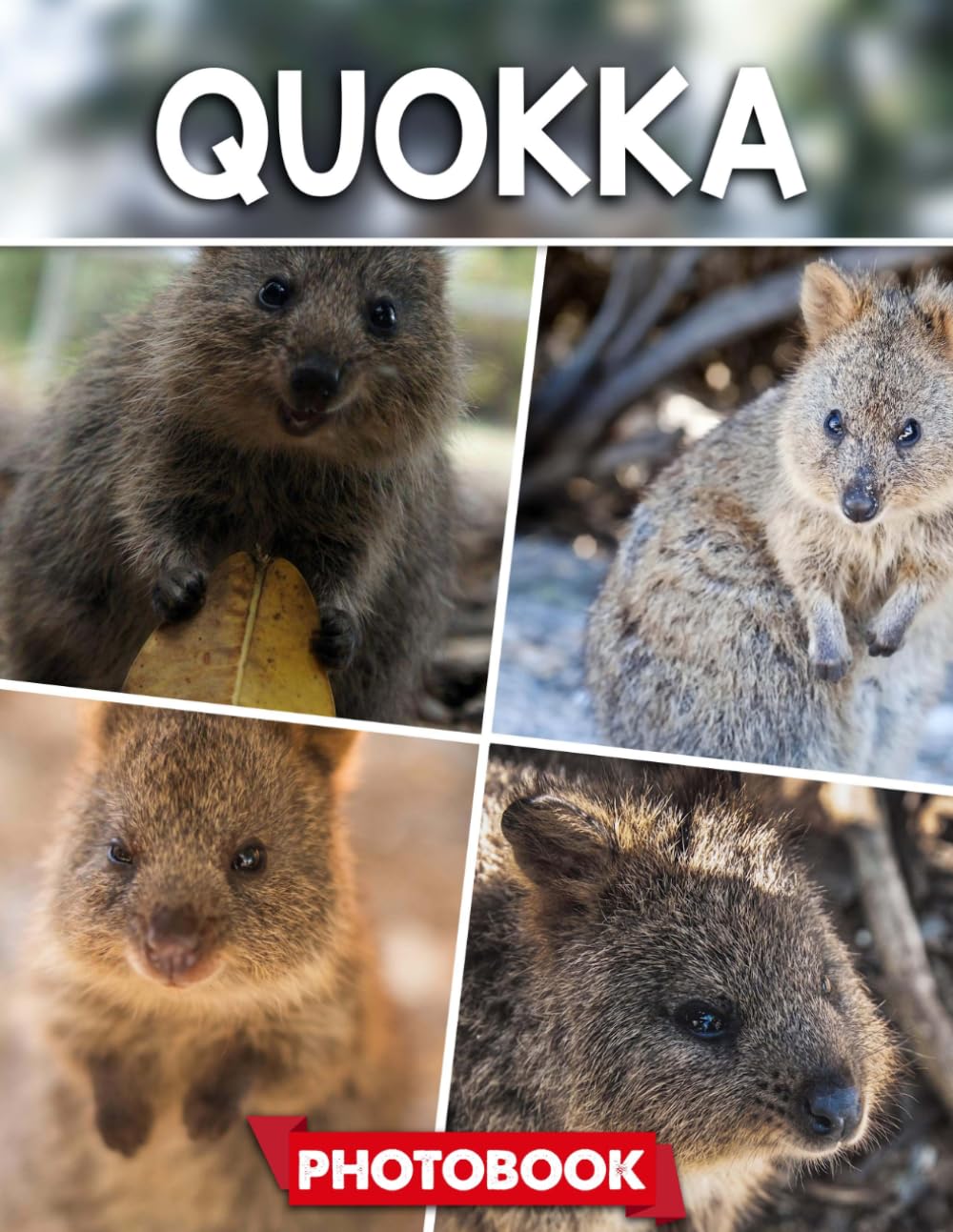 Quokka Photo Book: Picture Collection For Adults With Dementia And Alzheimer’s Patients – Cute Quokka Images In Happy And Playful Australian Wildlife Settings