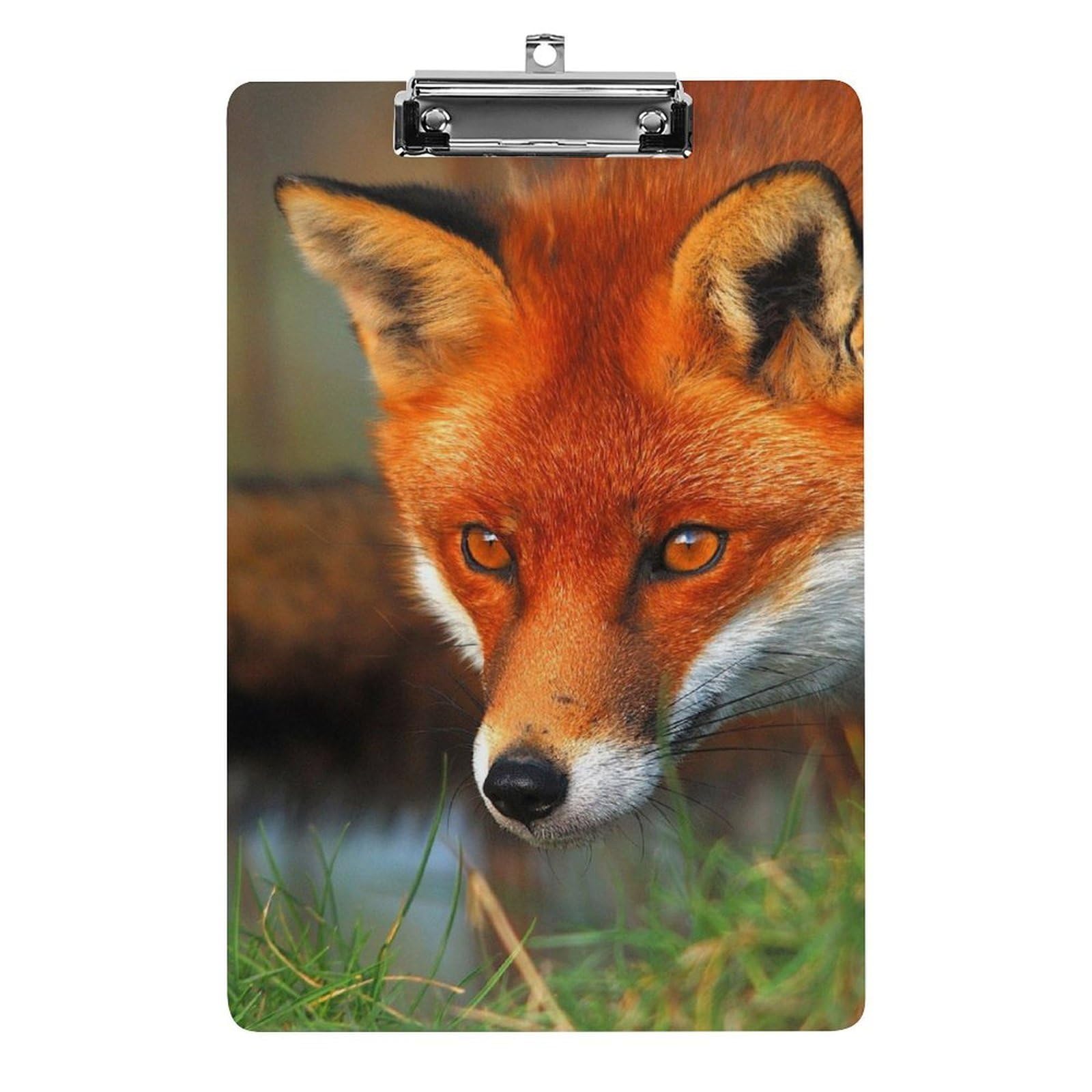 Porte-bloc A4 avec pince forte Renard pour support rigide - 8