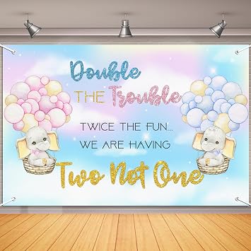 Twins Baby Shower Decorations Backdrop 6x4ft Elephant Pink Blue Gender Reveal Party Decorations for Twins Double the Trouble Twice the Fun We are Having Two not One Party Supplies