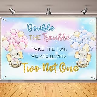 Twins Baby Shower Decorations Backdrop 6x4ft Elephant Pink Blue Gender Reveal Party Decorations for Twins Double The Trouble Twice The Fun We are Having Two not One Party Supplies