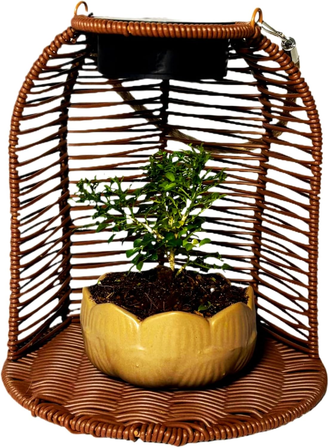 Solar Wicker Lantern, Hanging Planter for Indoor Plants Waterproof Rattan Plant Pots with Solar Lights for Outdoor Hanging Basket for Plants Automatic Charging Lanterns (Dark Brown)