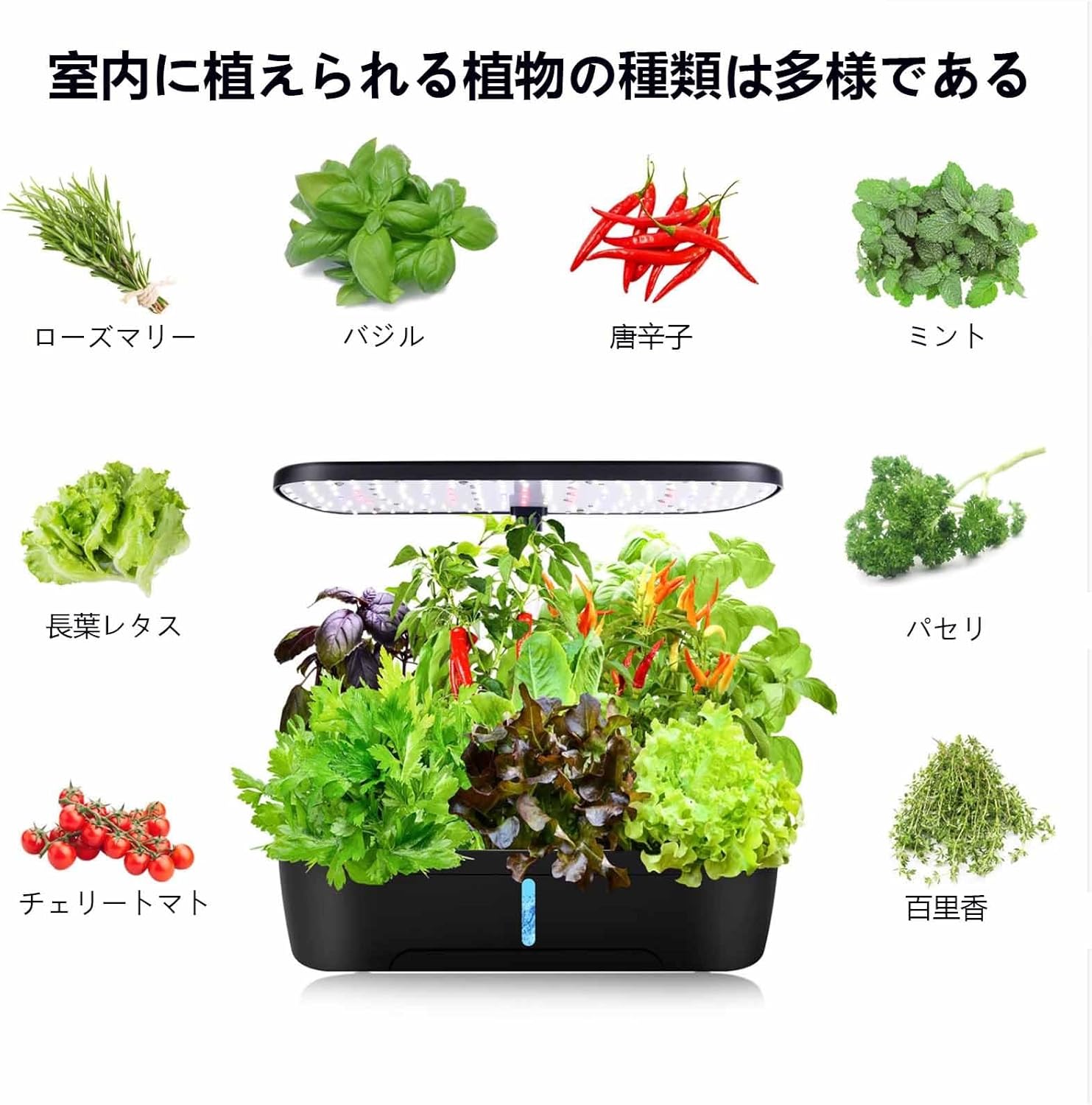 水耕栽培キット 野菜栽培ボックス 家庭用 インテリジェント水耕栽培機 しょくぶつせいちょうとう操作が簡単 ローズマリー、バジル、パプ