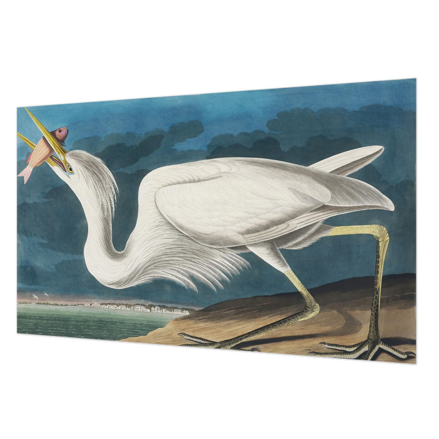 Tapisserie intissée facile à nettoyer grand format oiseau colle