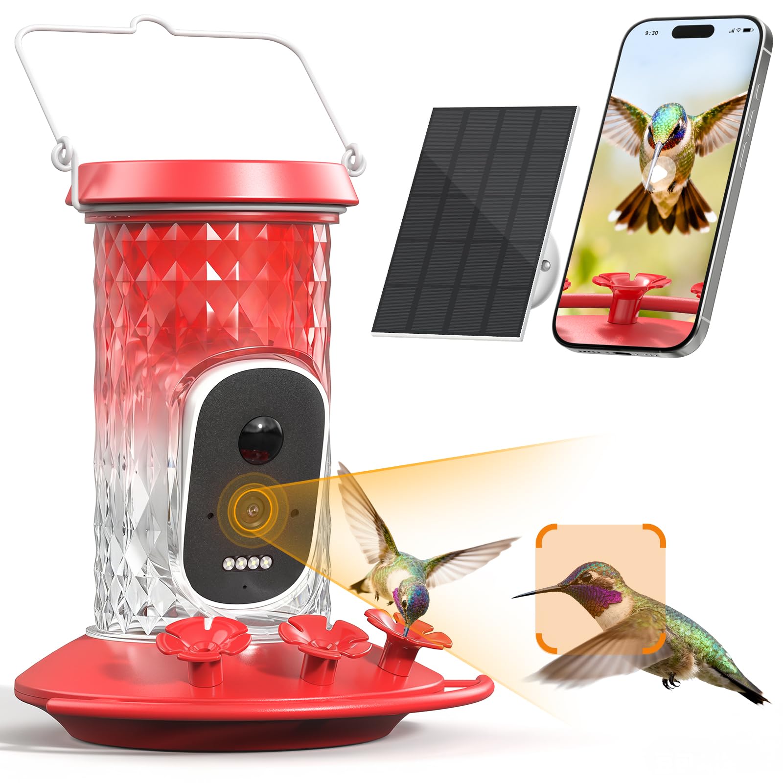 Photo 1 of WLNYUGS Smart Hummingbird Feeder Camera