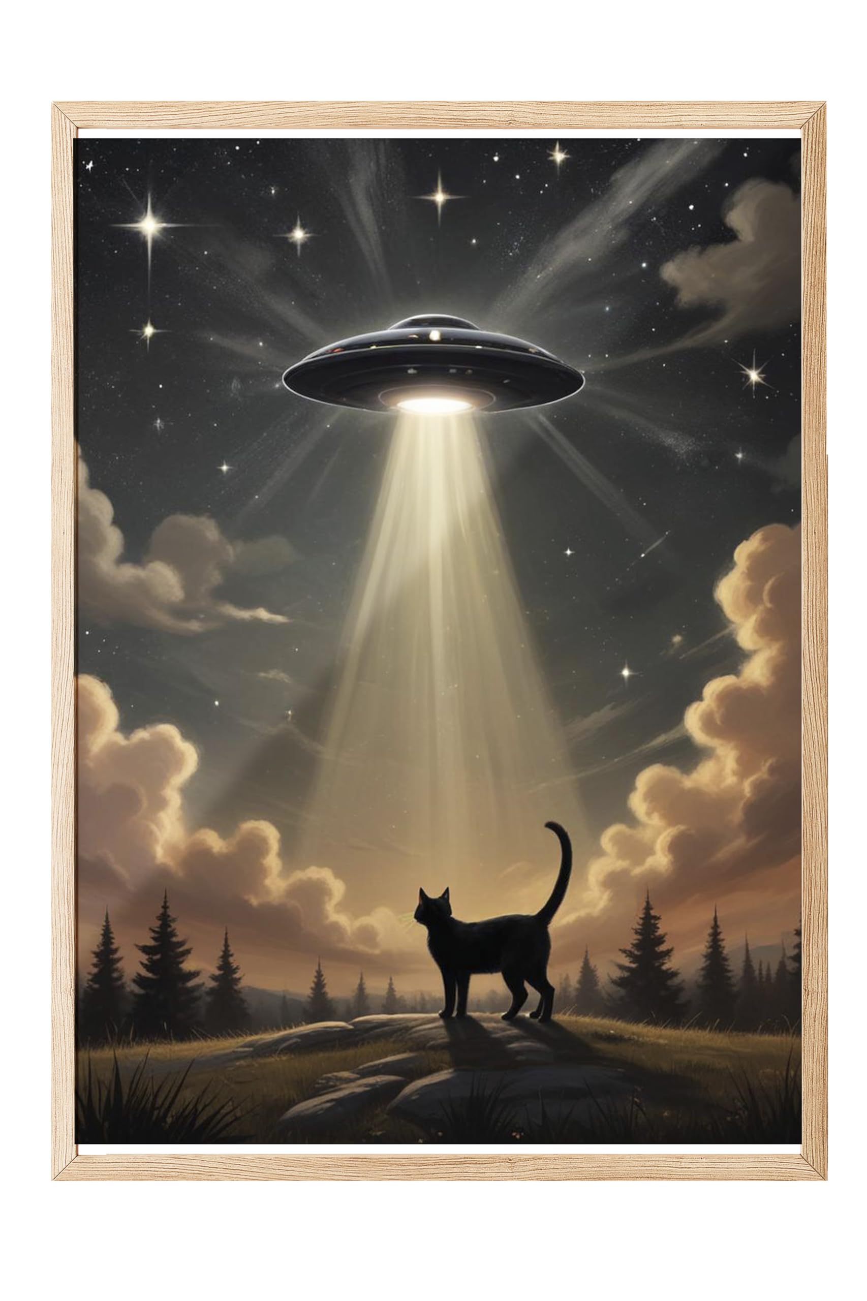 Zestia Ahşap Çerçeveli Tablo, Kedi ve UFO, Işık Hüzmesiyle Kaçırılma Teması Poster No: 107534 50 x 70