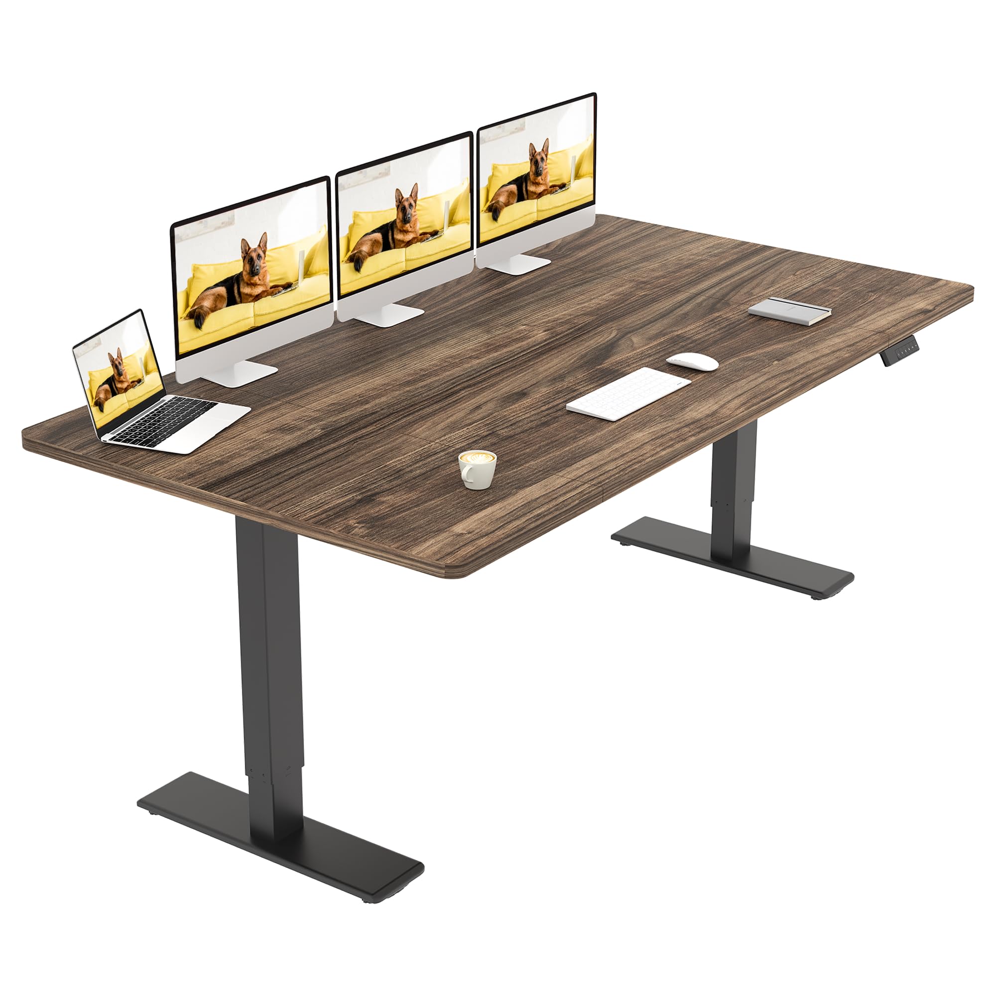SANODESK Höhenverstellbarer Schreibtisch mit Dual-Motor 180 x 80 cm | Große Arbeitsfläche, 72–121 cm höhenverstellbar, 90 kg belastbar, 4 Speicherpositionen, leiser Antrieb (Braun+Schwarz)