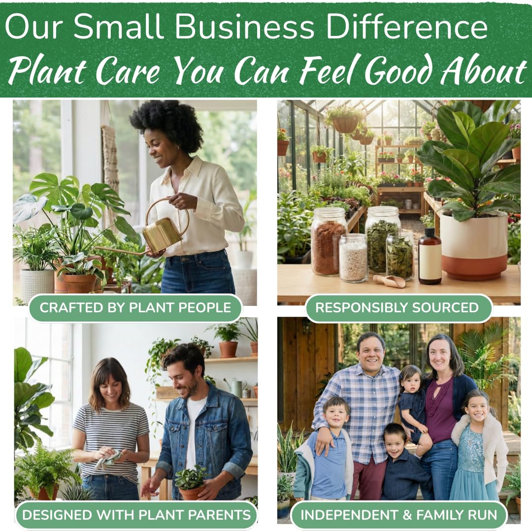 Konewka ze stali nierdzewnej do roślin doniczkowych od Houseplant Resource Centre, pojemność 1 l, do roślin wewnątrz/na zewnątrz, ze szczotkowanego złota
