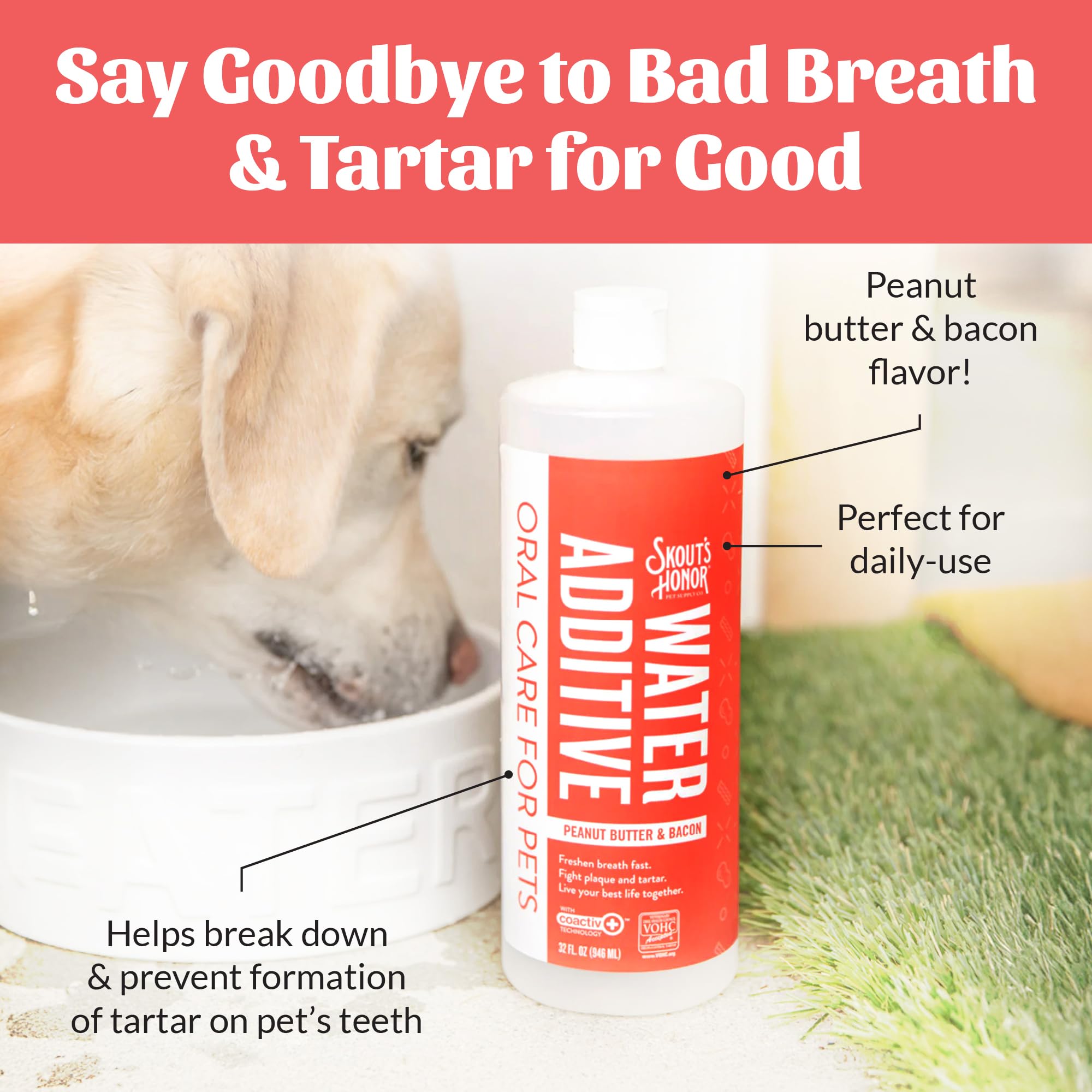 SKOUT'S HONOR Peanut Butter & Bacon Water Additive - VOHC Accepted for Tartar Control, Freshens Breath Fast, No Brushing Required, 32 oz - image 5
