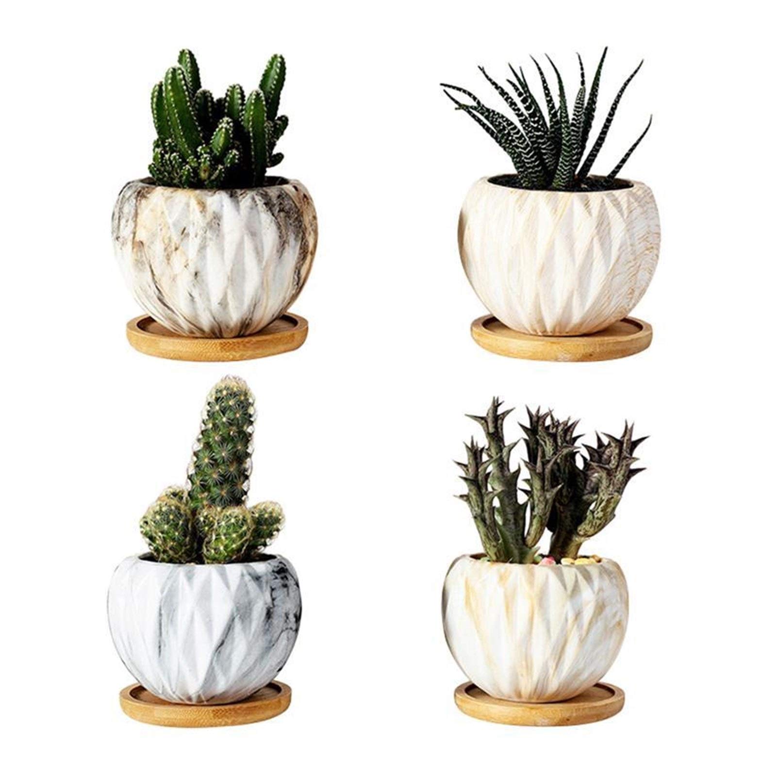 Pot de fleur succulent en céramique pour embellir votre salon et votre balcon