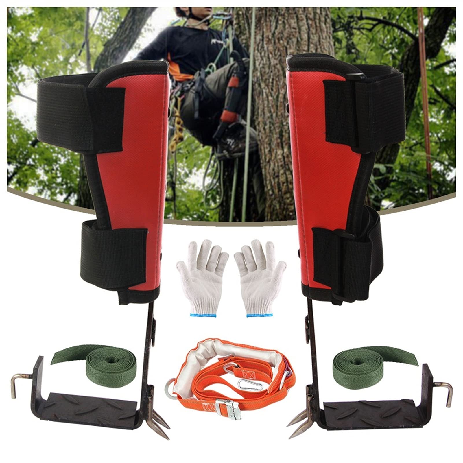 Buy XYAN 304 Stainless Steel Tree Climbing Gear Tree Climbing Spike Set