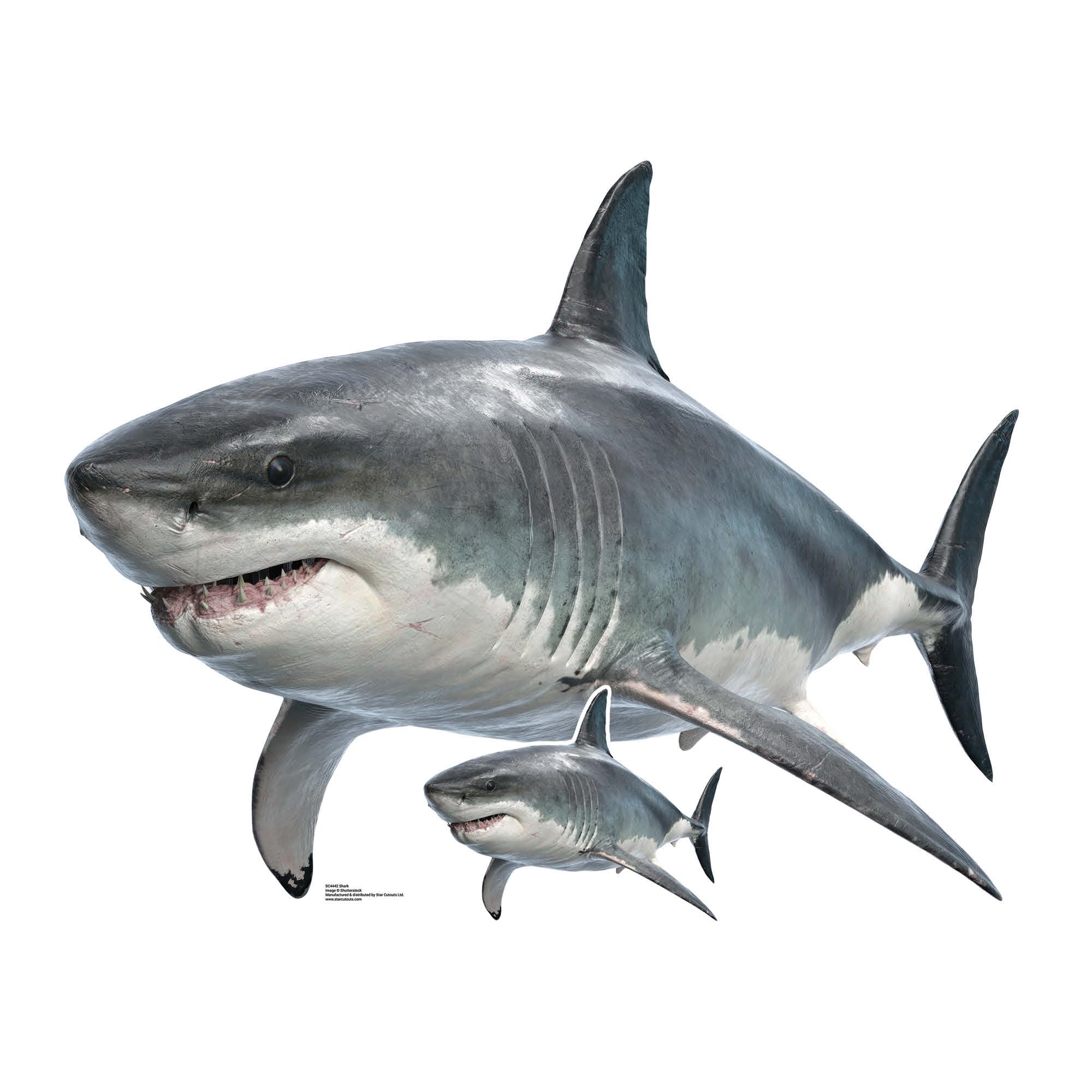 Star Cutouts Shark Cardboard Cutout Real Height 94cm Width 120cm