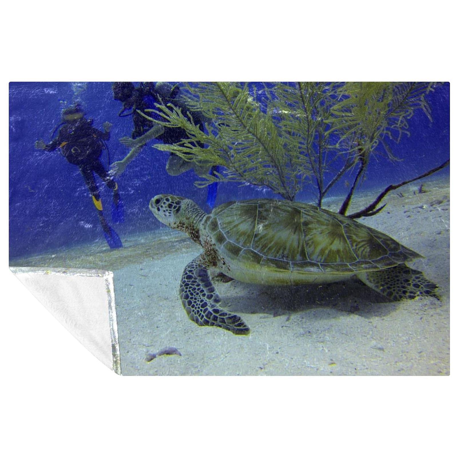 Couverture tortue de mer ultra douce et isolante chaude lit