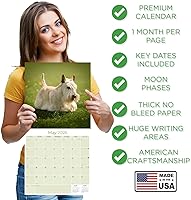 Vista 849 de Razas de Perros 2017