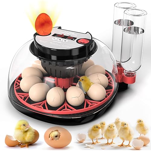 Incubators for Hatching Eggs,12 Egg Incubator with Automatic Egg Turning and Humidity Control,Egg Candler,Air Vent,360° Viewing for Chicken,Quail Eggs,Ideal for Farm,Classroom,Home Use