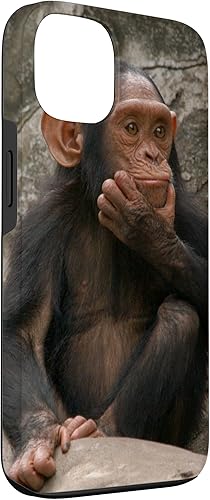 Miniatura 3 de Funda para iPhone 13 con diseño de mono de chimpancé