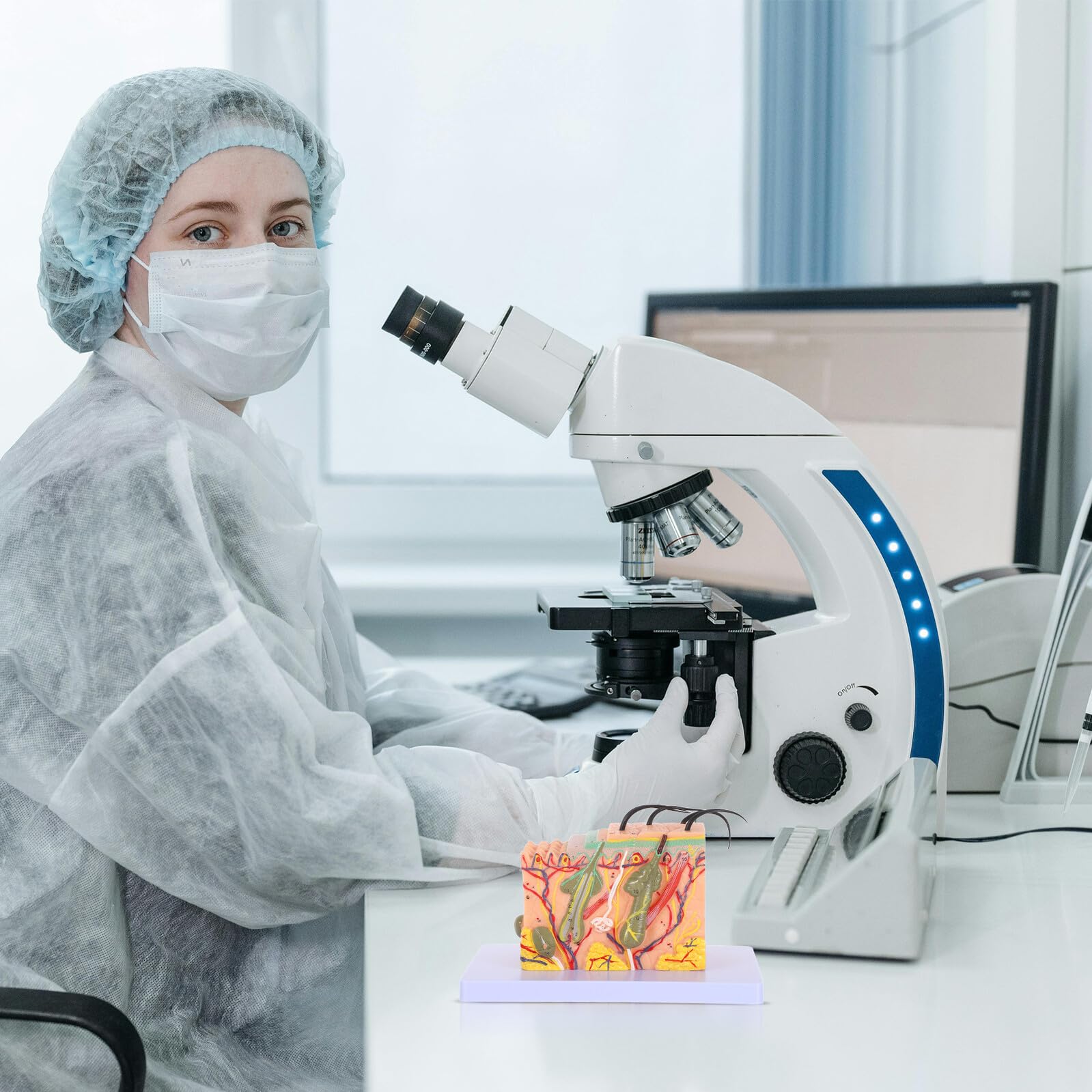 Gatuida Modello di Pelle Umana Ingrandito 35X per Insegnamento Anatomico Modello Didattico di Struttura Cutanea per Aula e Laboratorio Anatomico Scientifico per Studio Medico e