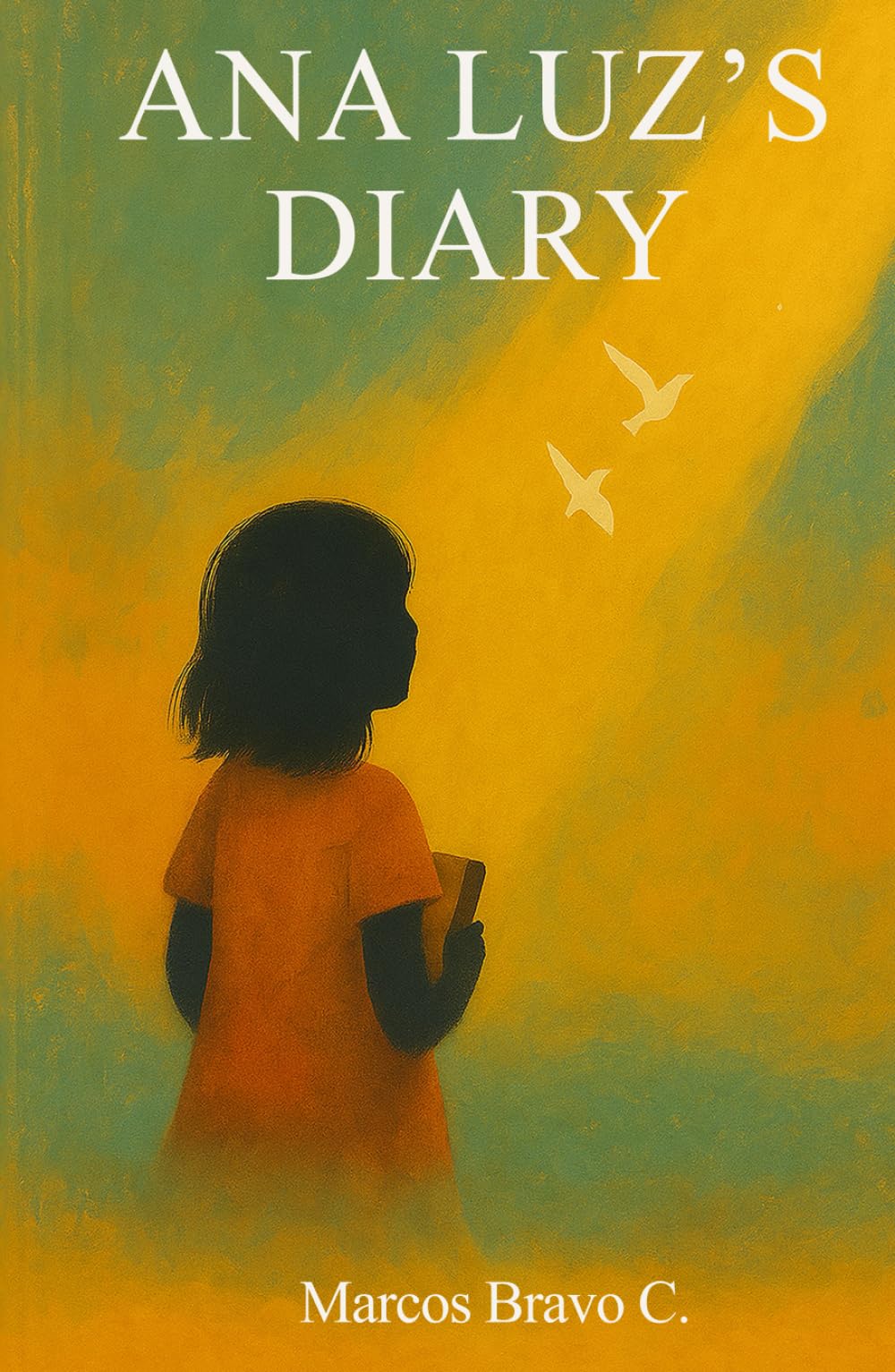 ANA LUZ'S DIARY