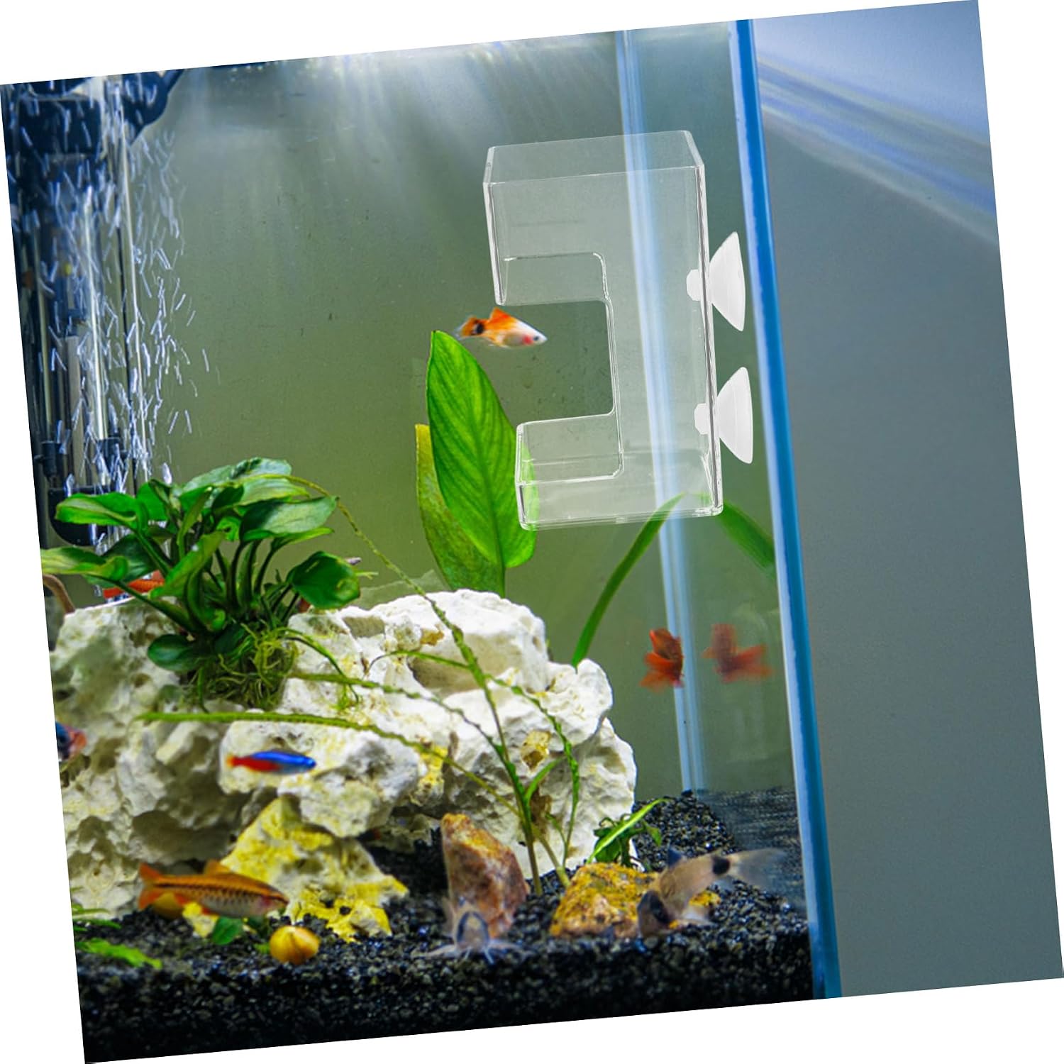 4pcs Fish Tank Feeding Ring with Suction Cup Aquarium Floating Fish Feeder Design Reduces Waste Keeps for Aquariums