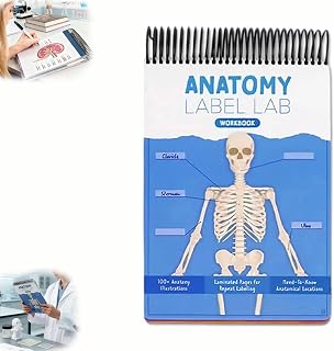 Anatomy Medical Students Label Lab Erase School 100 Study Full Color Dry Workbook Human Physiology Pages Interactive Busy Doctors Nurses Learning Notebook Workbook Tools Creative Book Blue Illustrations Gift Doctors Nurses Notebook Labeling Nursing Nurses(B)