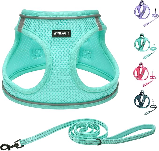 WINLAGIE Small Dog Harness, Puppy Harness and Leash Set