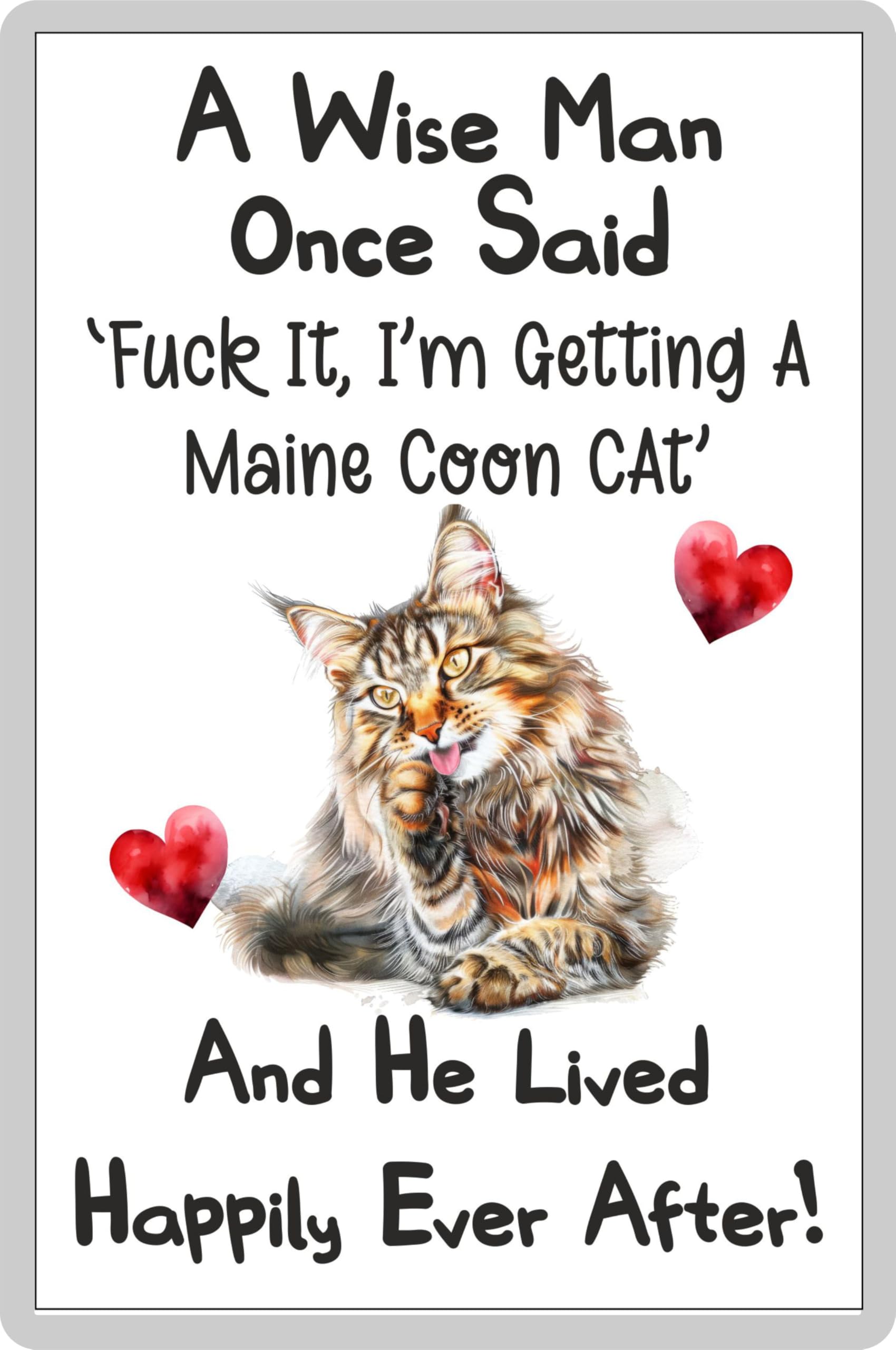 Decalarama Cat Fridge Magnet Gift – A Wise Man Once Said Fuck It I'm Getting A Maine Coon Cat – Fun Rude Cute Pet Novelty Present