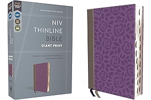 NIV Bible for Women Large Print: A Comforting Companion for Spiritual Growth