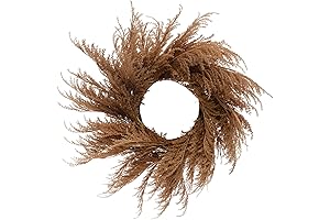 Eye-Catching Creative Co-op Pampas Grass Wreath Adorned in Blush