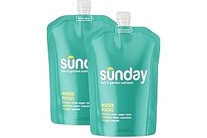 Sunday Water Focus - Feed Your Lawn, Even in the Scorching Sun