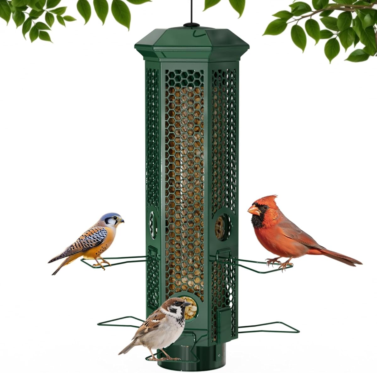 Amazon.com : Squirrel Proof Bird Feeders, Bird Feeder for Outdoors with Removable Base, 6 Ports Perches Gravity Protection Squirrel Proof Wild Bird Feeders, 3LB Seed Capacity, Green
