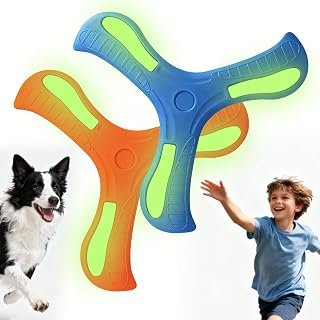 Pet Dog Luminous Boomerangs