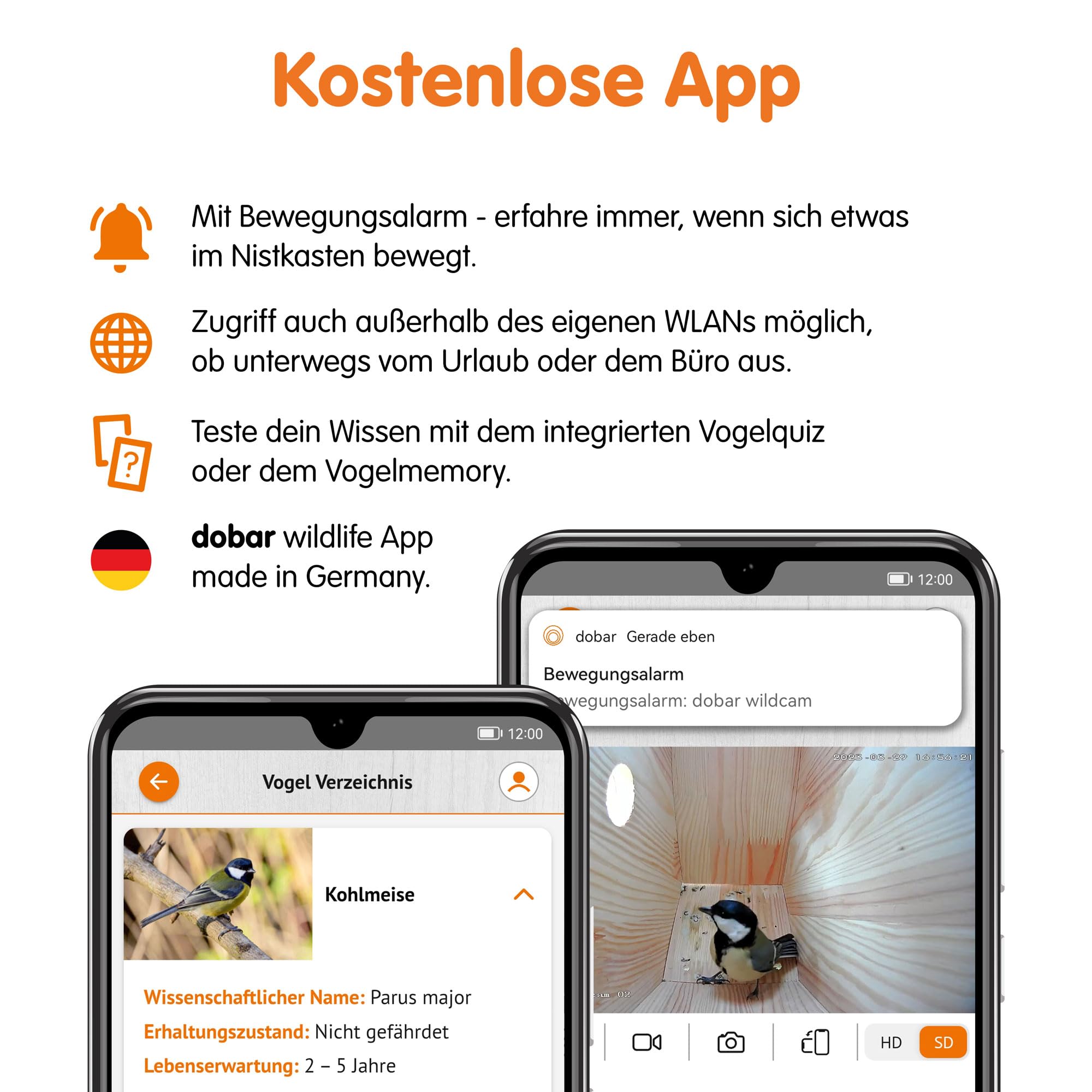 dobar® Großer Nistkasten Spitzdach aus Holz inklusive HD WiFi-Kamera und App mit austauschbaren Einfluglöchern - 25,5 x 22,5 x 53 cm - Grün-Braun