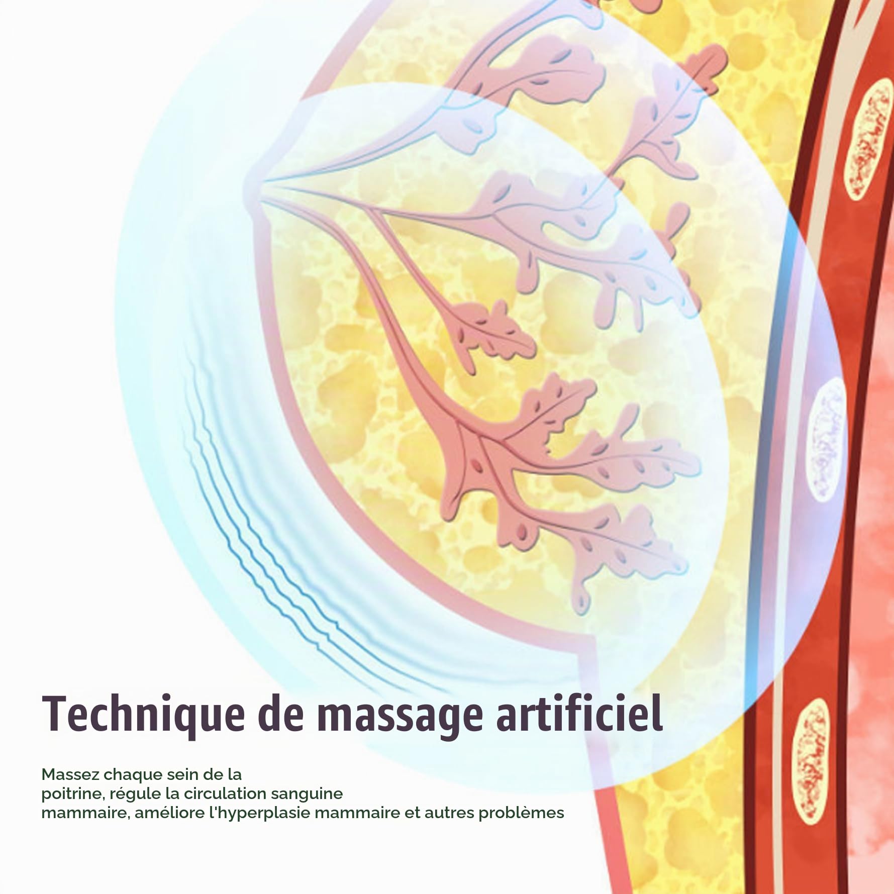 Masseur mammaire USB Masseur de mammaire électrique sans fil 3 Réglage des engrenages Machine de massage confortable de vibration intelligente pour façonner la belle poitrine anti-poitrine viole