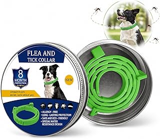 Flohhalsband Hunde, 8 Monate Schutz vor Flöhen, Zecken und Mücken, verstellbares und wasserdichtes Flohhalsband für kleine, mittlere und große Hunde,Verstellbar63.5 cm