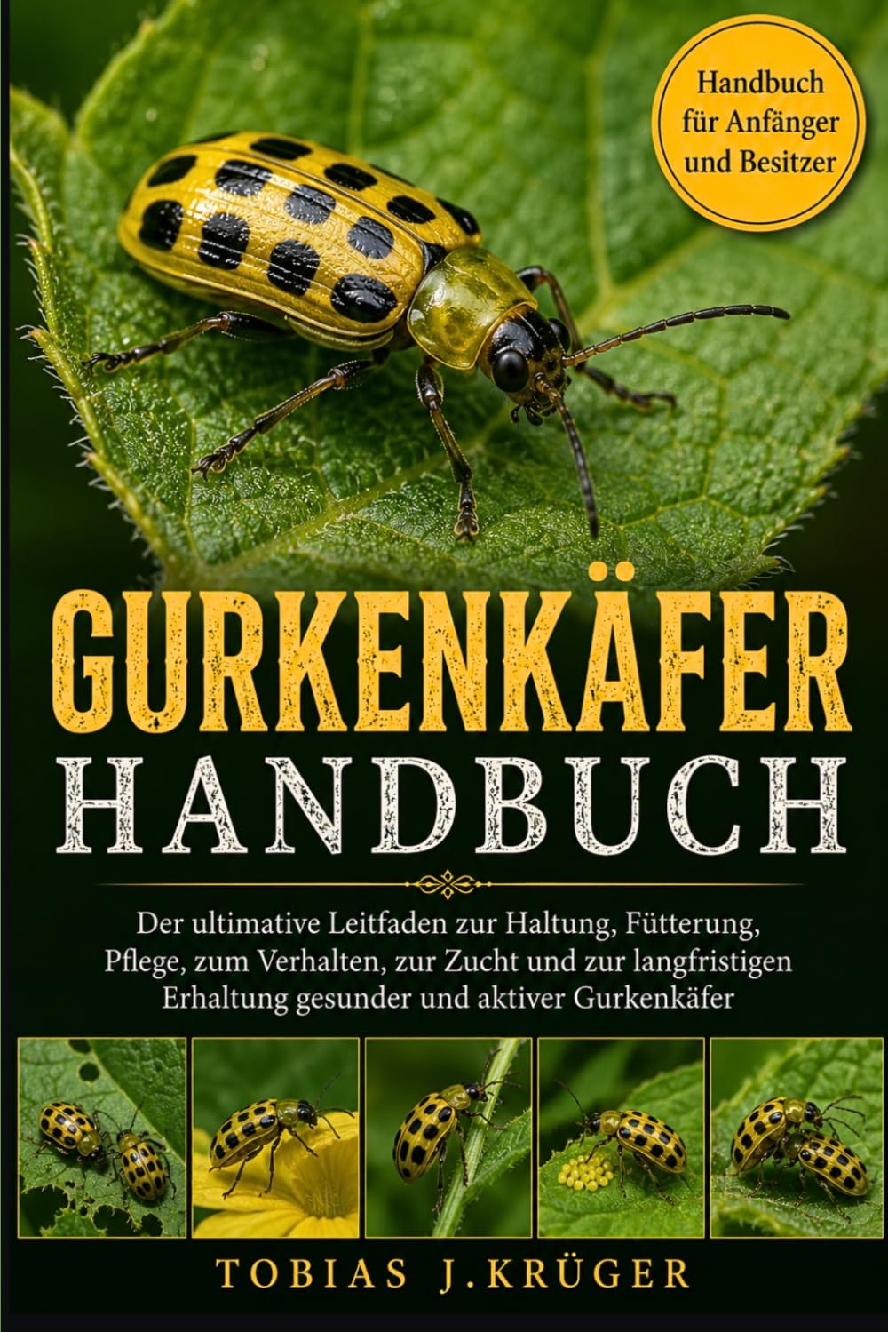 GURKENKÄFER HANDBUCH: Der ultimative Leitfaden zur Haltung, Fütterung, Pflege, zum Verhalten, zur Zucht und zur langfristigen Erhaltung gesunder und aktiver Gurkenkäfer