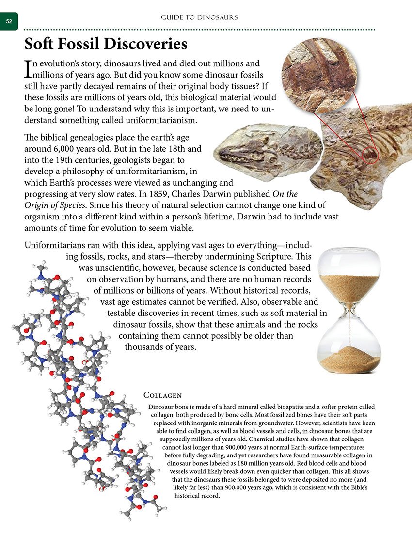 Guide to Dinosaurs - Image 6