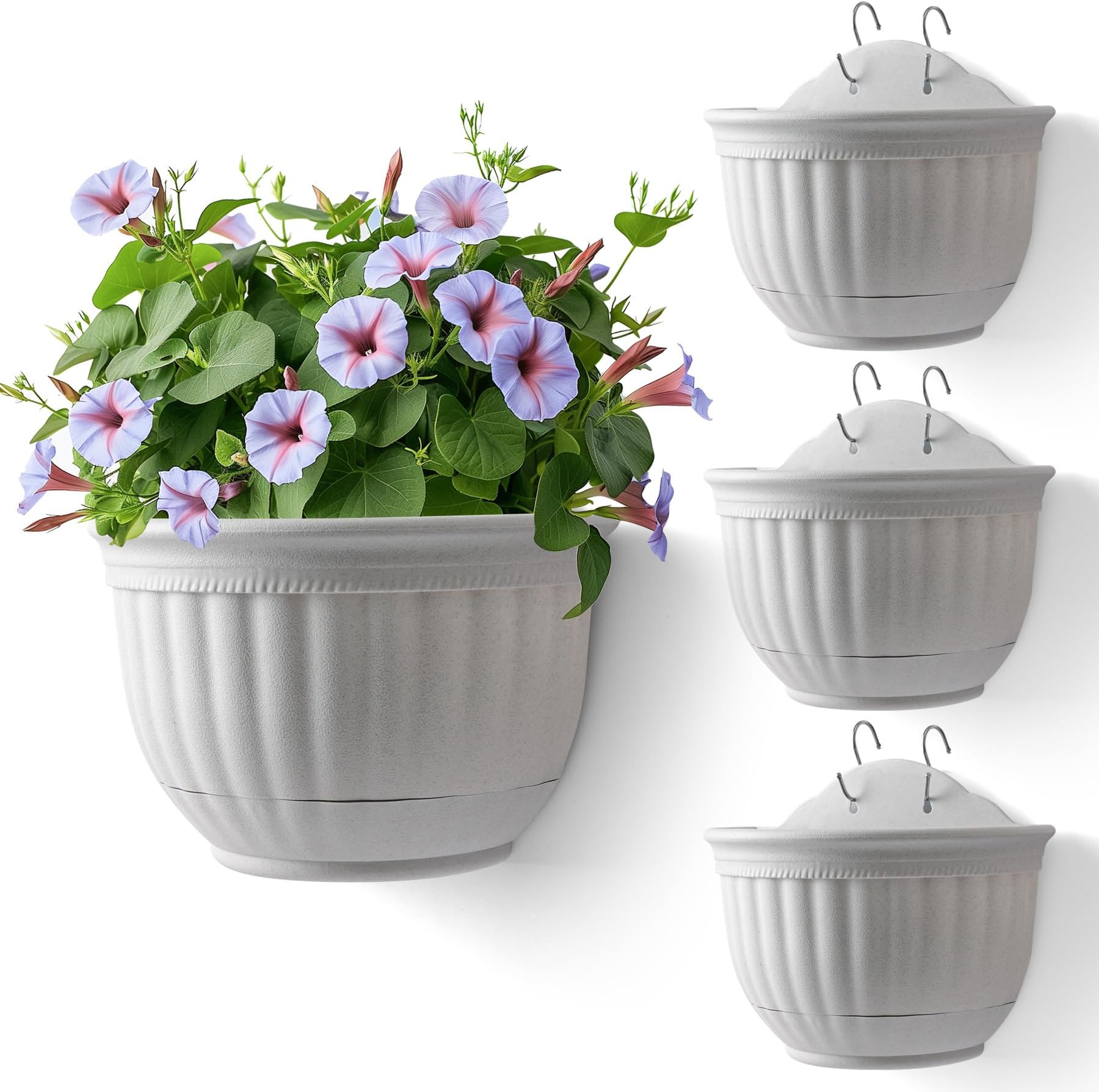 View of Amazon.com: 6 Sets 6 Inches Wall Planters for Indoor Plants Self ...