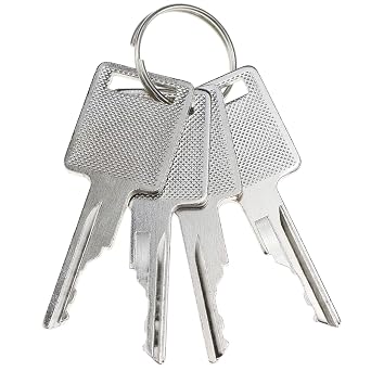 DVPARTS 4PCS Ignition Keys 6693241 6709527 D250 for Bobcat Skid Steer Loader 751 753 763 773 863 873 883 963 S130 S175 S220 S300 S450 S550 A220 T140 T10 T250 T300 T590 T650 730 742 763 843 864 963 310