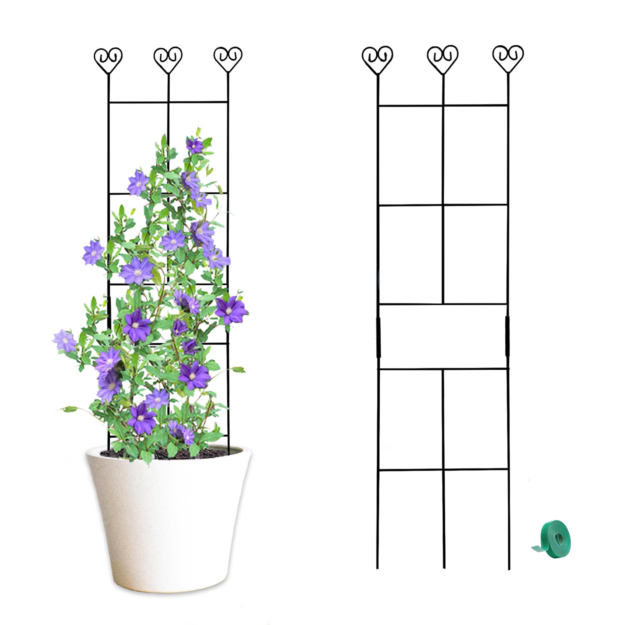 Hensal 2 Pack 30 inch Metal Plant Trellis