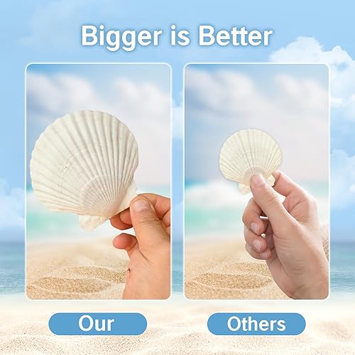 Miniatura 7 de NIIIYTYB Conchas de vieira grandes de 4 a 5 pulgadas, conchas naturales para manualidades, proyectos de bricolaje, decoración de boda en la playa,