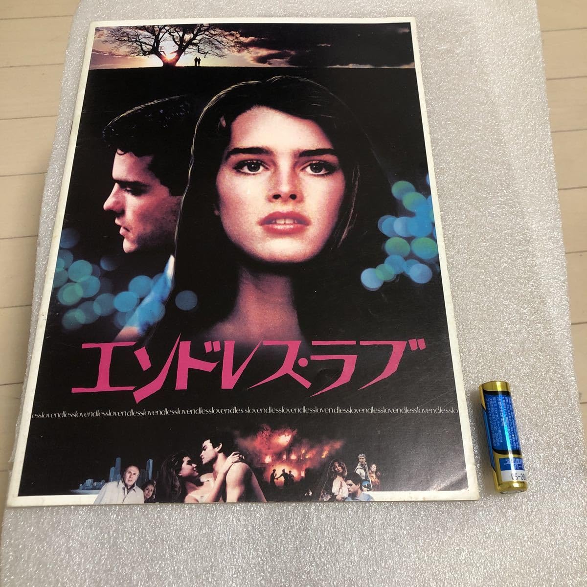 Amazon.co.jp: エンドレス ラブ パンフレット 映画 ENDLESS LOVE