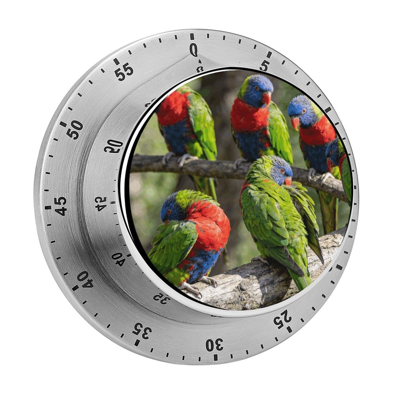 Parrots Timer Exquisite Stainless Steel Body Desk Visual Timer with Loud Alarm 60-Minute Mechanical Countdown Timers Magnetic Backing Cooking Kitchen Timers for Work