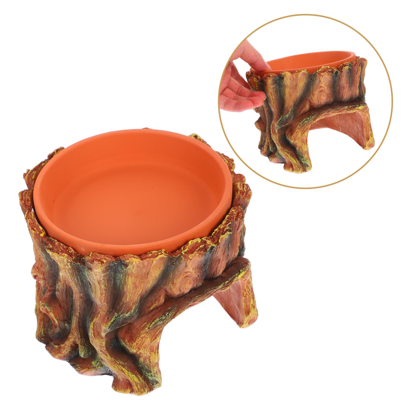 Per Rettili Per Gechi Leopardini e Decorativo Per Terrario Accessorio Per Acquari e Habitat Per Rettili e Facile Installare