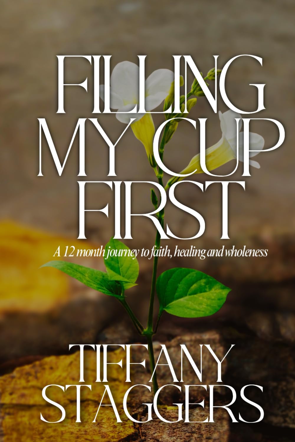 Filling My Cup First: A 12-Month Journey of Faith, Healing and Wholeness Volume 1