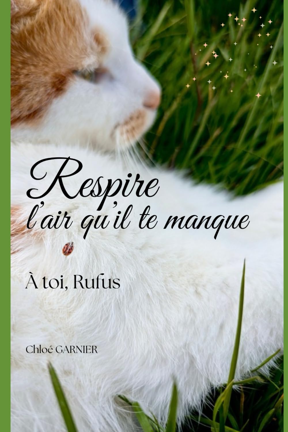 Respire l’air qu’il te manque: À toi Rufus