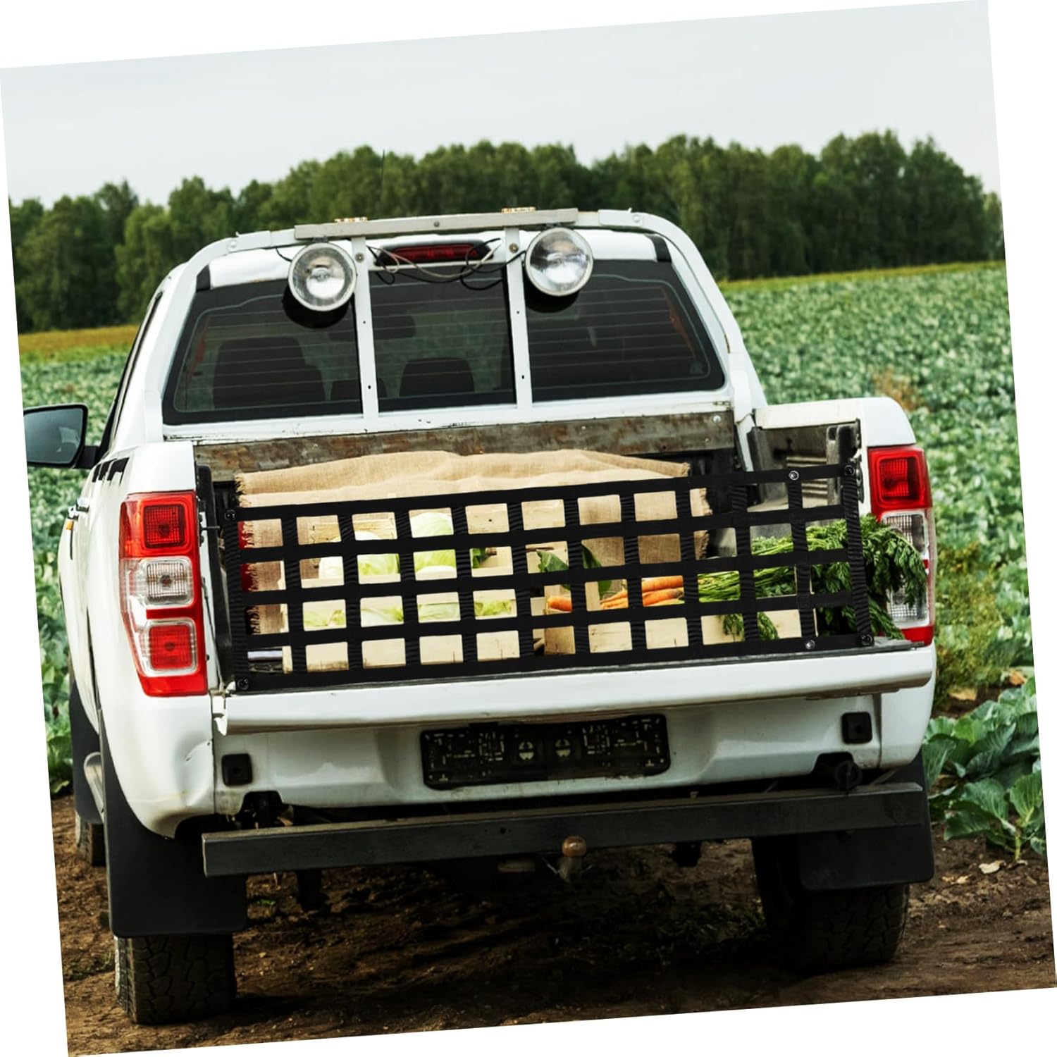 Luxshiny Truck Bed Rack Cargo Net Strong Material Easy Installation Fit Car Trunk Net