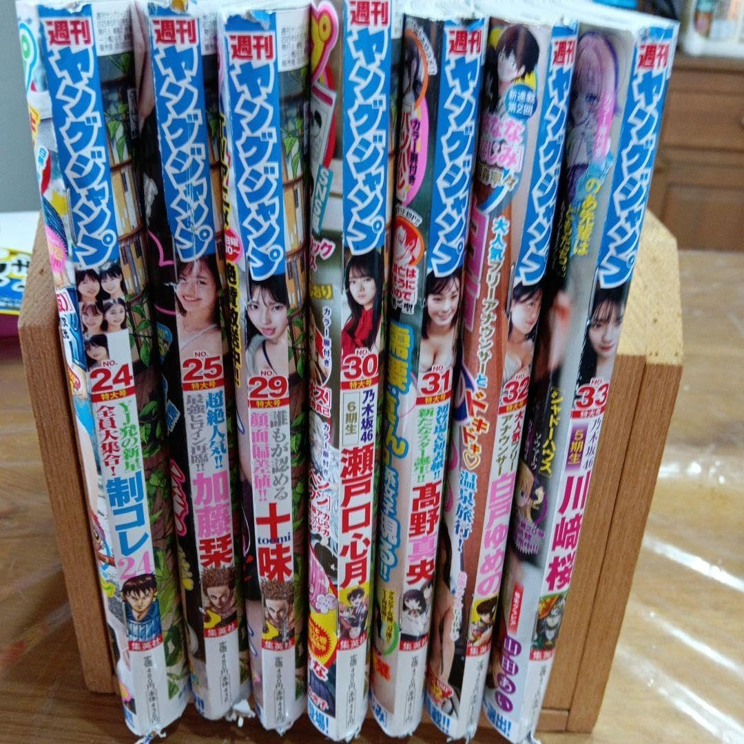 ヤングジャンプ 24, 25, 29, 30, 31, 33号セット