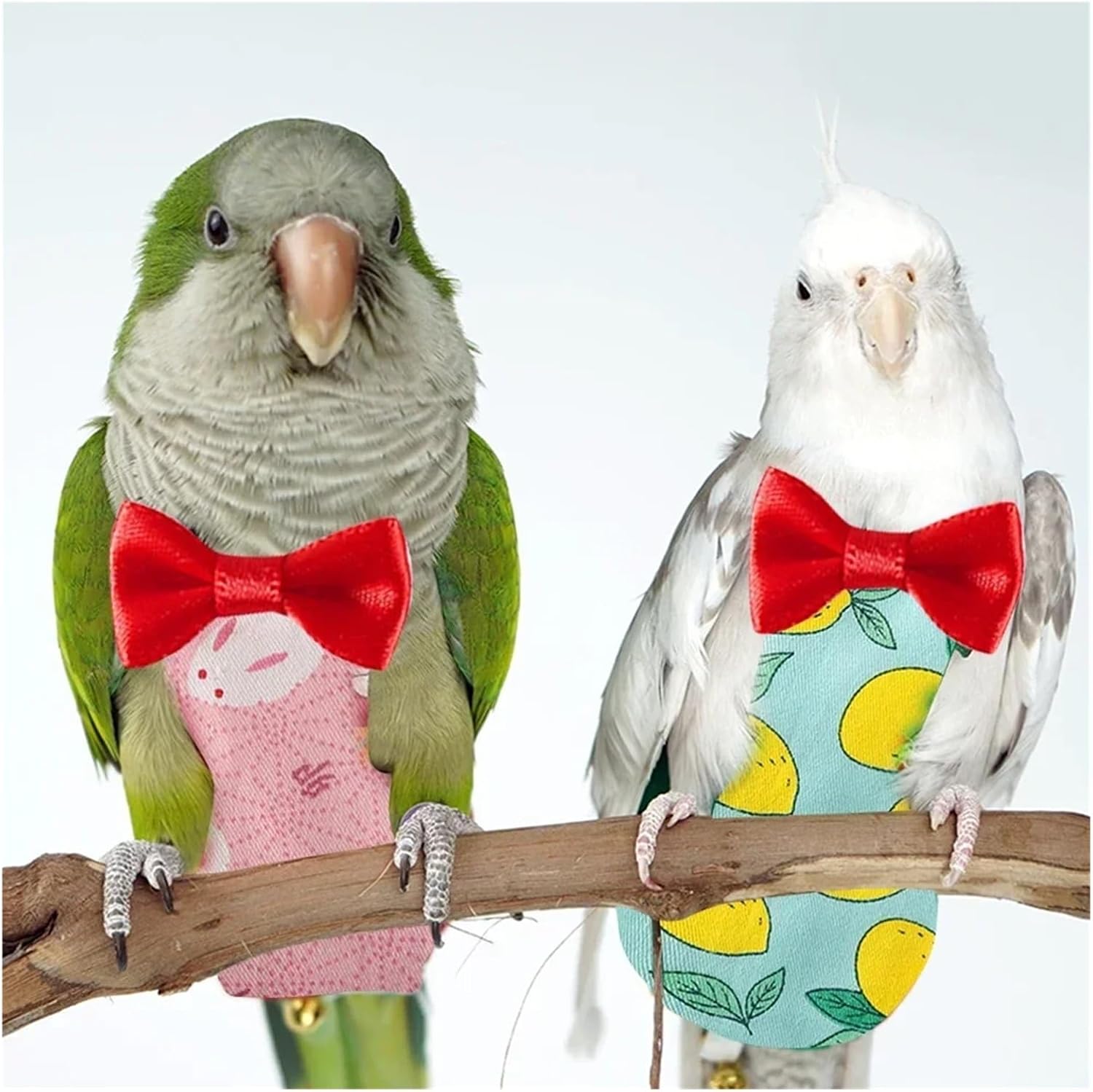 Bird Diaper, Adorable Bird Outfit Parrot Diaper Washable Birds Flight Suit Cute Colorful Fruit Multi-Size Clothing for Universal(Green Lemon,Small)