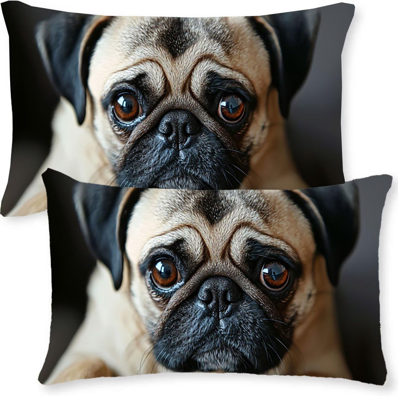 Jaguar 2 Fundas De Cojín Sofa Decorativas De Terciopelo Rectángulos 50 x 70 cm Cojines Funda De Almohada Grande, Cremallera Oculta Fundas De Cojines Sala De Estar Dormitorio Habitacion Retrato j0l-328
